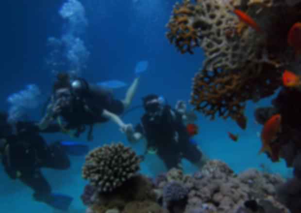 15 Best Adventure Sports In Australia: Unleash Your Inner Adventurer
