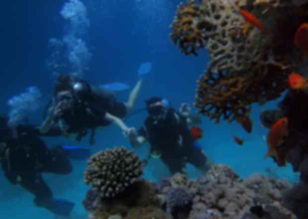 15 Best Adventure Sports In Australia: Unleash Your Inner Adventurer