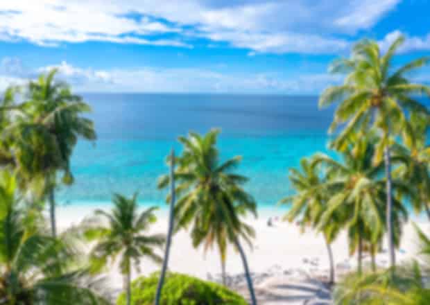 Eriyadu Island Resort House Reef: The Ultimate Snorkelling & Diving Guide