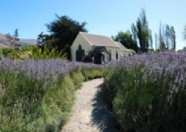 New Zealand in September 2026 – Weather & Travel Guide