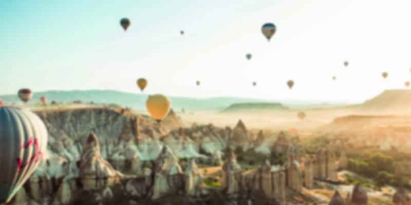 turkey