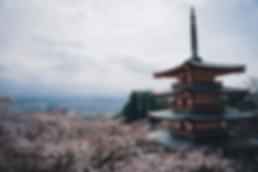 blog-card